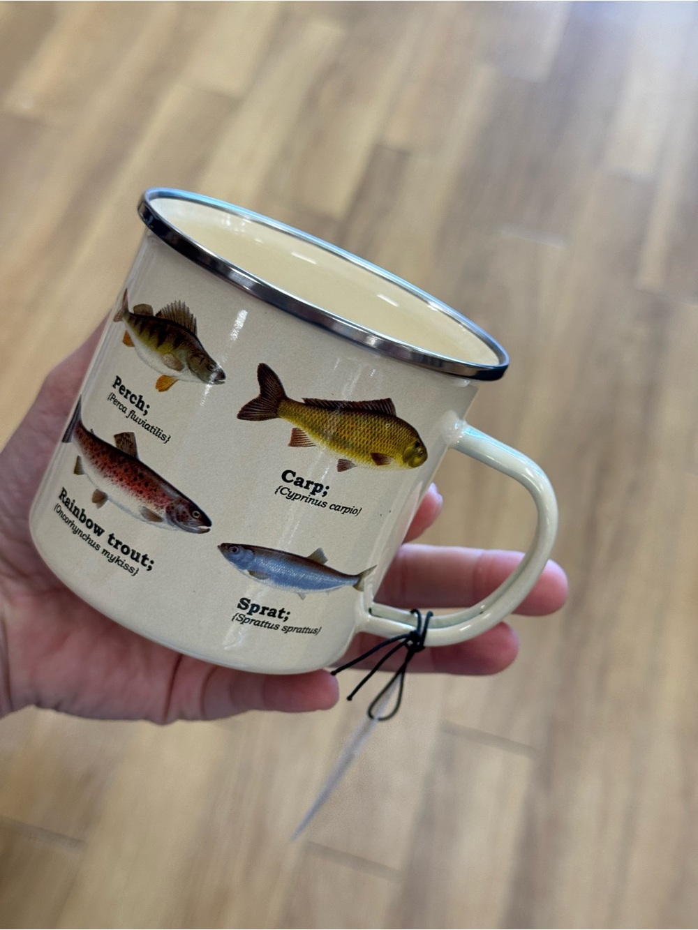 Enamel Fish Species Camp Mug - Cream with Fish Illustrations